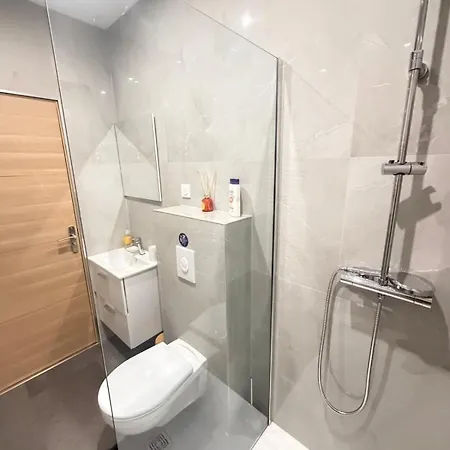 Apartment 8 Couchages 2 Salle De Bains, 2 Wc 1terrasse Metz